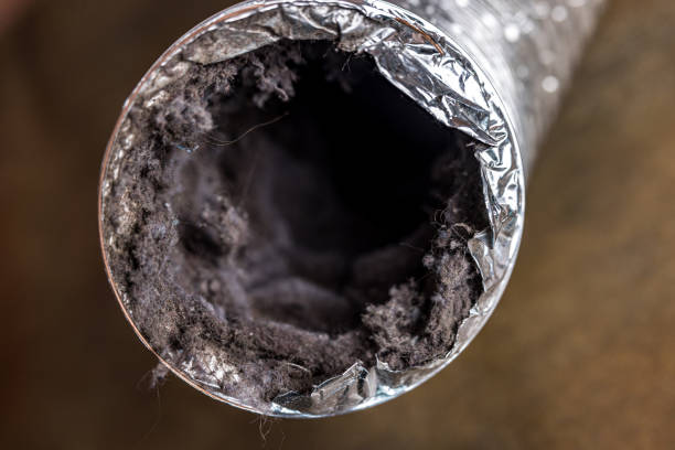 Best Air Duct Cleaning Company Near Me  in Sault Ste Marie, MI