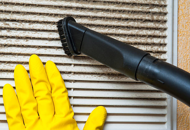 Best Ductwork Cleaning Services  in Sault Ste Marie, MI